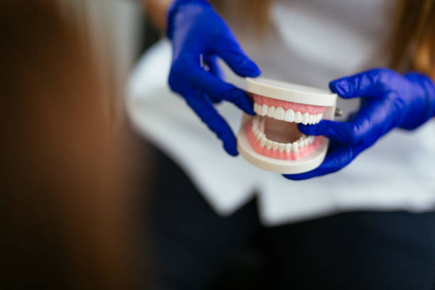 Best Cosmetic Dentistry  in Wauchula, FL