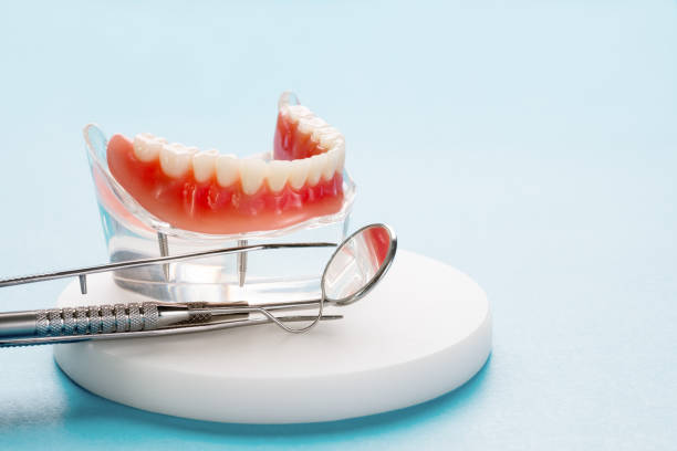 Best General Dentistry  in Wauchula, FL